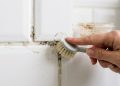 Sem água sanitária: o truque com 2 ingredientes que elimina o mofo do banheiro e evita que ele volte