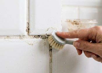 Sem água sanitária: o truque com 2 ingredientes que elimina o mofo do banheiro e evita que ele volte
