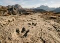 Cientistas encontram trilhas de 230 milhões de anos que revelam quando os dinossauros começaram a dominar o planeta
