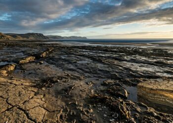 Uma revelação chocante: não foram as mudanças climáticas que causaram a queda do nível do mar há 15 milhões de anos.