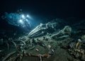 A 7 mil metros de profundidade, cientistas encontram um cemitério que desafia tudo o que sabíamos sobre o oceano
