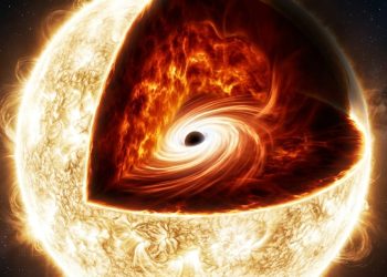 Pesquisadores identificam sinais que podem revelar estrelas consumidas por buracos negros primordiais