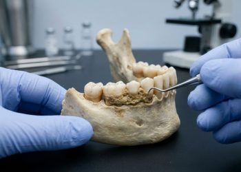 Paleontólogos analisam 33 mil anos de tártaro humano e fazem descoberta surpreendente sobre os insetos