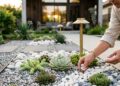 Adeus aos canteiros de flores: a nova tendência de jardim que promete dominar e embelezar jardins em 2026