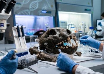 O que cientistas descobriram dentro do DNA deste predador de 34 mil anos surpreendeu o mundo