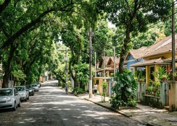 Árvores podem resfriar uma cidade em até 18°C, mas apenas se forem plantadas da maneira certa, dizem botânicos