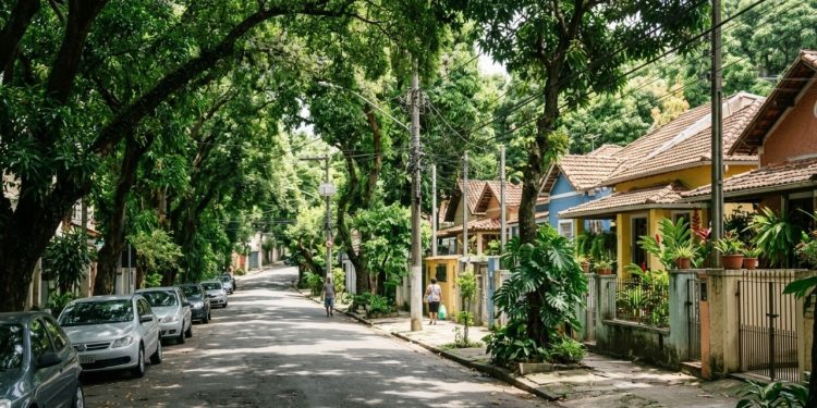 Árvores podem resfriar uma cidade em até 18°C, mas apenas se forem plantadas da maneira certa, dizem botânicos