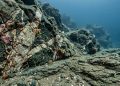 Rochas “fora do lugar” encontradas no fundo do mar estão reescrevendo a história da formação dos oceanos