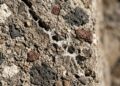 O concreto romano que se autorrepara após 2.000 anos ainda intriga engenheiros e pode revolucionar a construção moderna