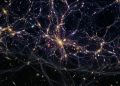Pesquisadores do projeto COSMOS-Web desvendam estruturas ocultas da teia cósmica bilhões de anos após o Big Bang