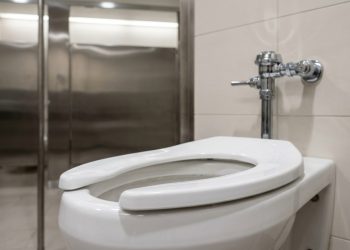 Por que os banheiros públicos usam assentos em formato de U? O motivo vai muito além da higiene
