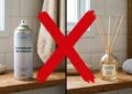 Nem spray nem difusor: o método antigo que deixava a casa perfumada naturalmente com uma fruta que você tem em casa