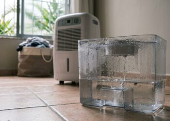 Você está desperdiçando isso: a água do desumidificador pode ter inúmeras utilidades para a limpeza da casa