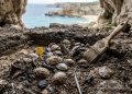 O que os neandertais comiam no litoral da Espanha há 115 mil anos? A descoberta surpreende os cientistas