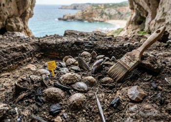 O que os neandertais comiam no litoral da Espanha há 115 mil anos? A descoberta surpreende os cientistas
