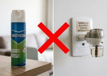 Nem inseticida nem aparelho elétrico: o truque com papel higiênico que está viralizando na luta contra mosquitos