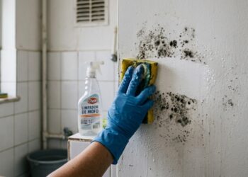 O truque de 5 minutos que pode ajudar a impedir que o mofo volte às paredes e substitui produtos caríssimos