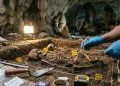 Arqueólogos encontram sinais de doenças respiratórias em crianças que viveram há 5.000 anos