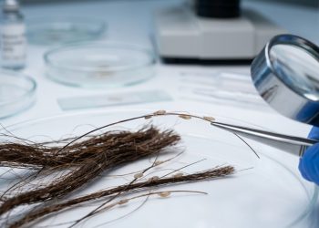 Graças aos piolhos, pesquisadores conseguiram recuperar o DNA de múmias milenares nos Andes
