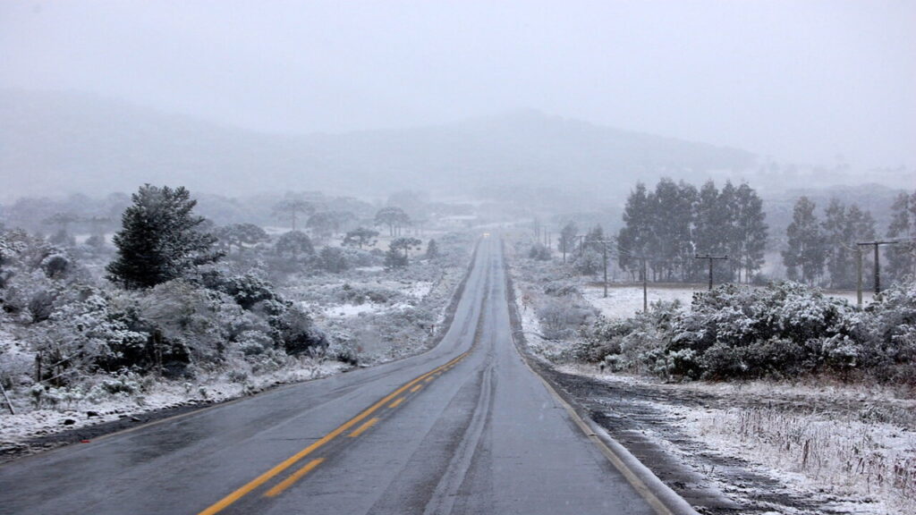 Estrada asfaltada cortando uma paisagem de inverno rigoroso na Serra Catarinense. A vegetação rasteira e as árvores nas margens, incluindo as clássicas araucárias, estão completamente cobertas por uma densa camada branca de neve sob um céu cinzento.