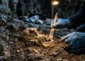 O fóssil chamado “Thorin” que revela uma linhagem perdida de Neandertais na Europa