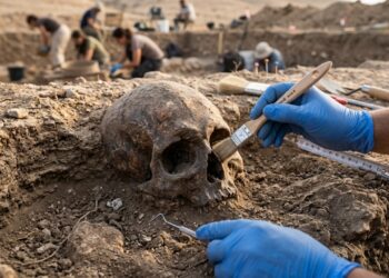 Crânio de 6.200 anos revela algo inacreditável: adolescente sobreviveu a ataque de leão na Bulgária pré-histórica e chocou arqueólogos