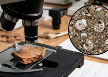 Microfósseis de 2 milhões de anos presos em cerâmica revelam segredos da indústria de construção na Sicília antiga