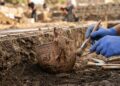 Cerâmica dauniana rara de 2.700 anos pode ter sido usada para vinho ou rituais com substâncias psicoativas na antiguidade