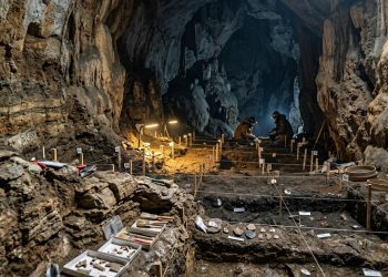 Duas espécies humanas compartilharam a mesma caverna por milhares de anos, revela estudo