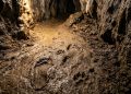 Há 14.400 anos, cinco humanos e um cão desafiaram uma caverna infestada de ursos