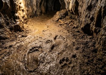 Há 14.400 anos, cinco humanos e um cão desafiaram uma caverna infestada de ursos