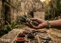 Estudos mostram que os Maias utilizavam substâncias alucinógenas em rituais religiosos para se conectar com o mundo espiritual