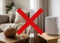 Nem aromatizador nem purificador: as 4 plantas que ajudam a deixar o ar da sala mais fresco e agradável