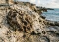 Um “arquivo natural” do passado indica que o nível do mar pode subir mais do que o esperado