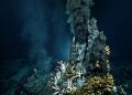 O ponto do oceano profundo onde água superaquecida vira fumaça mineral e sustenta animais sem nenhum raio de sol