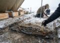 Uma pilha de lixo de 4.500 anos revela segredos surpreendentes da vida no Ártico