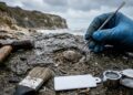 Fóssil de 125 milhões de anos revela bivalve “grávido” com embriões preservados e comprova cuidado materno na era dos dinossauros