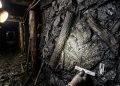 Parede de mina de carvão com fósseis de troncos e folhas antigas preservados na rocha escura.