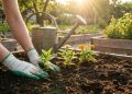 Especialistas revelam o que plantar em junho para garantir um jardim colorido e produtivo durante todo o verão