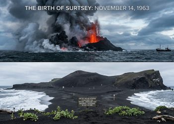 O nascimento da ilha vulcânica de Surtsey em 1963 e o seu isolamento imediato para servir como um laboratório natural de observação biológica sem a interferência humana.
