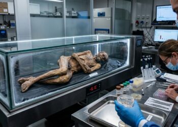 Múmia de 5.300 anos surpreende cientistas ao revelar formas de vida ainda ativas em seus restos mortais