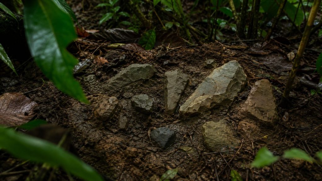 Pesquisadores encontram sinais de vida humana em floresta tropical 80 mil anos antes do recorde anterior