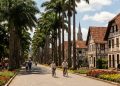 Fundada por imigrantes alemães em 1851, a maior cidade catarinense reúne qualidade de vida expecional e o maior PIB do estado: a Manchester Catarinense fica a 180 km de Florianópolis