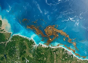 Vista de satélite mostra manchas de sargaço no mar azul-turquesa próximas a uma faixa de litoral tropical.