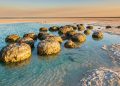 A rocha viva que cresce em águas rasas da Austrália e revela como o oxigênio começou a mudar o planeta