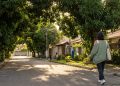 Reconhecida pela ONU como Cidade Árvore do Mundo ao lado de Paris e Nova York: a capital nordestina com o metro quadrado mais barato da região e a melhor qualidade de vida do Nordeste