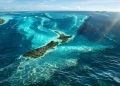 Vista aérea de águas rasas e azul-turquesa no Oceano Pacífico, com ilhas e formações submersas associadas ao continente Zealandia.