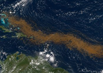 Uma faixa marrom do tamanho de um continente está se espalhando pelo Atlântico e preocupa cientistas