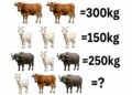 Você consegue descobrir o peso dos três animais sem errar?