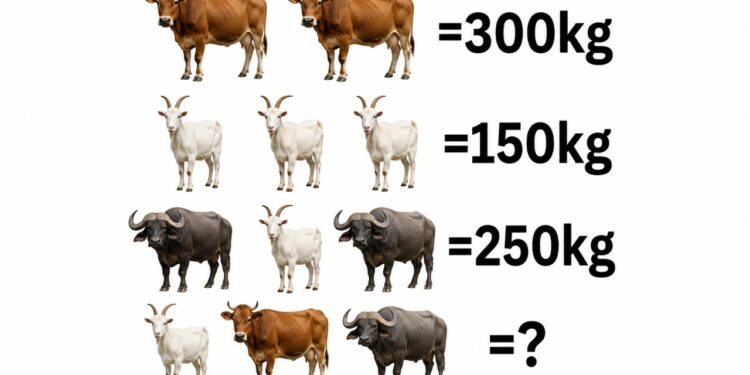 Você consegue descobrir o peso dos três animais sem errar?